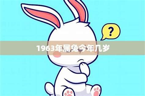 1963年生肖|1963年属什么生肖